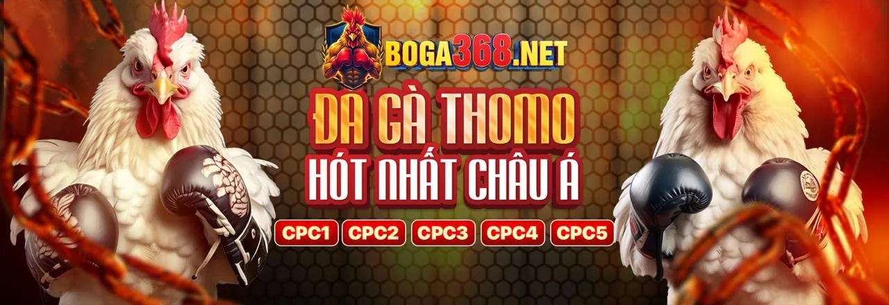 Sân chơi đá gà Zbet88 Chính Thức